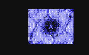 32n.gif (3072 byte)